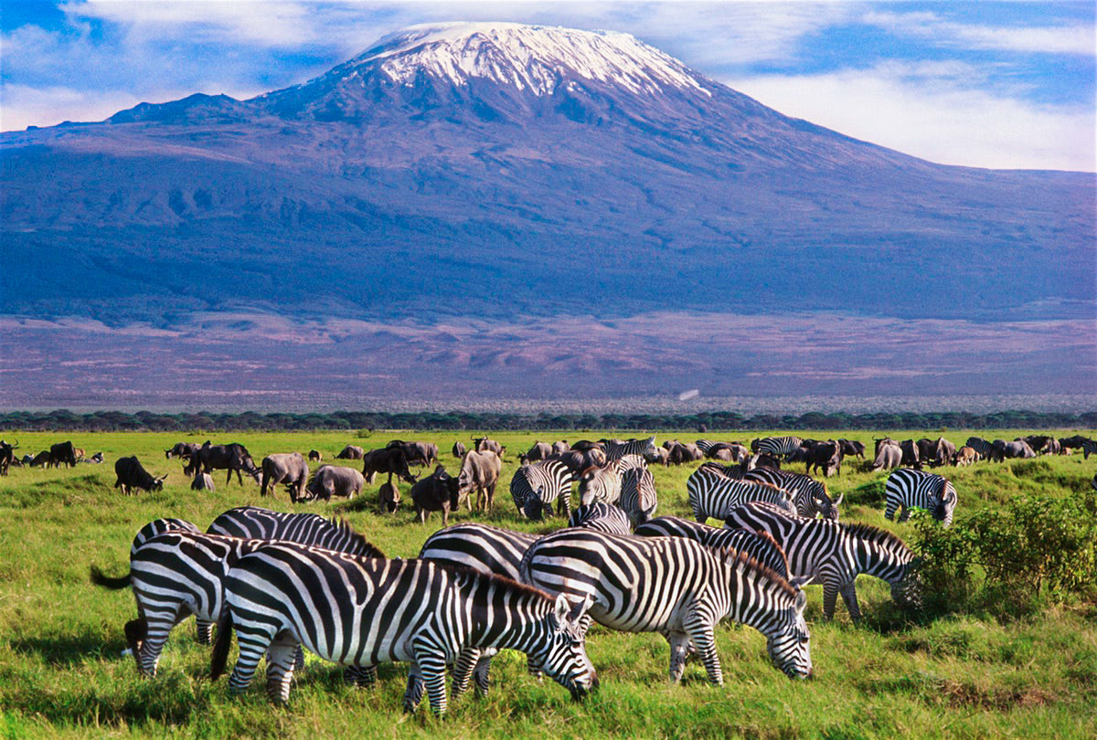 kenya-safari-tours-amboseli-kilimanjaro-safaris
